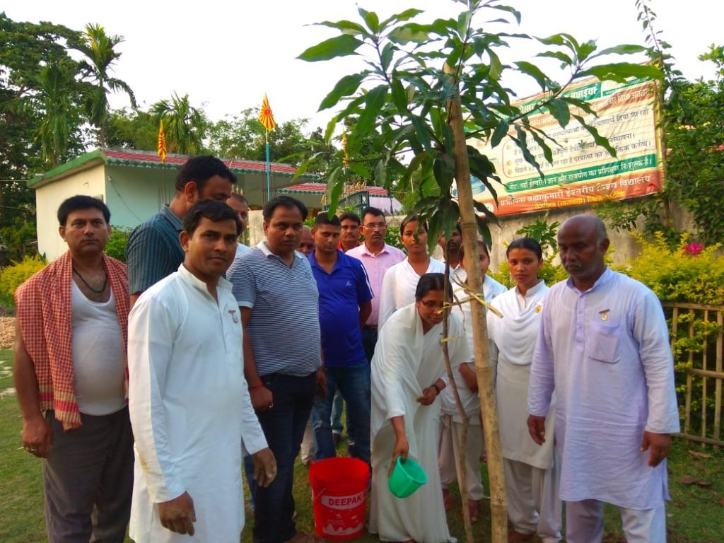 अररिया (बिहार): विश्व पर्यावरण दिवस